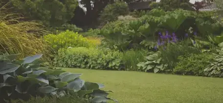 paysagiste Beaupréau-1