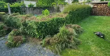 paysagiste à Beaupréau - image 3