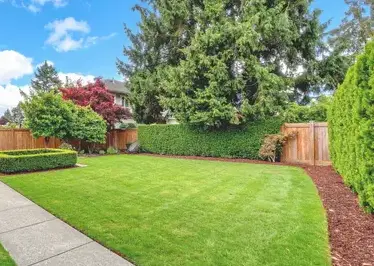 paysagiste à Beaupréau - image 4