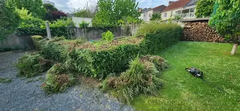 paysagiste à Chalonnes-sur-Loire - image 3