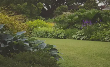 paysagiste à Chaudron-en-Mauges - image 3