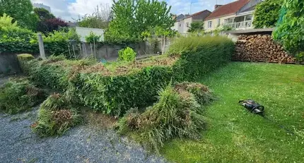 paysagiste à Chemillé-Melay - image 4