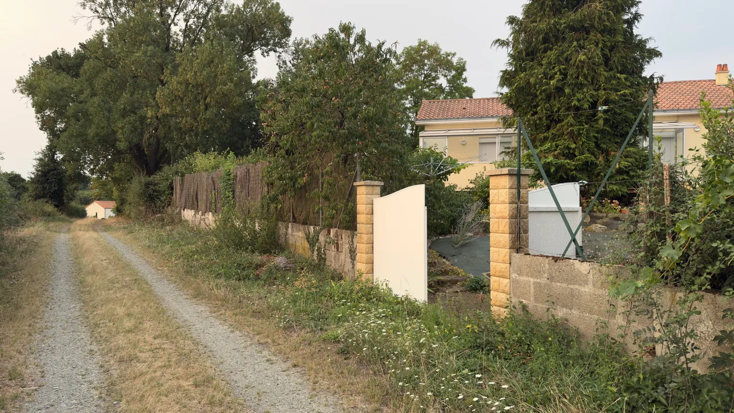 before-image
