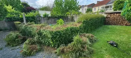 paysagiste à La Pommeraye - image 3
