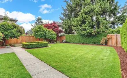 paysagiste Montrevault-1