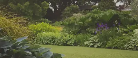 paysagiste à Montrevault - image 4