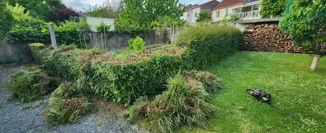 paysagiste Saint-Macaire-en-Mauges-5