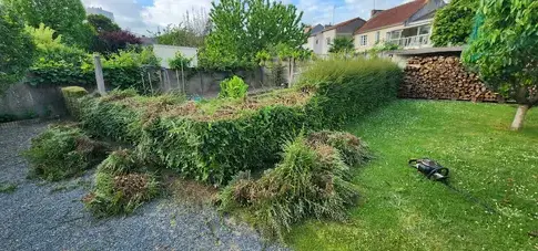 taille de haies à Chalonnes-sur-Loire - image 3