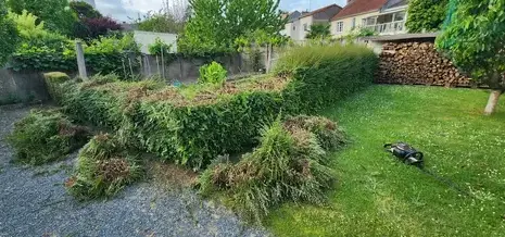 taille de haies à Chaudron-en-Mauges - image 4