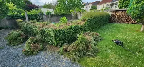 taille de haies à La Pommeraye - image 2