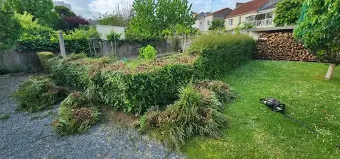 taille de haies Saint-Macaire-en-Mauges-5