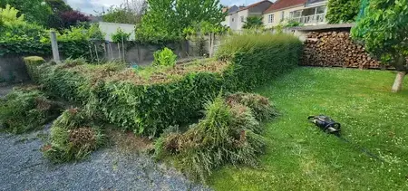 taille de haies à Varades - image 2